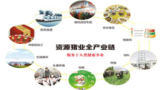 俄罗斯专享会294·VIP(中国区)官方网站