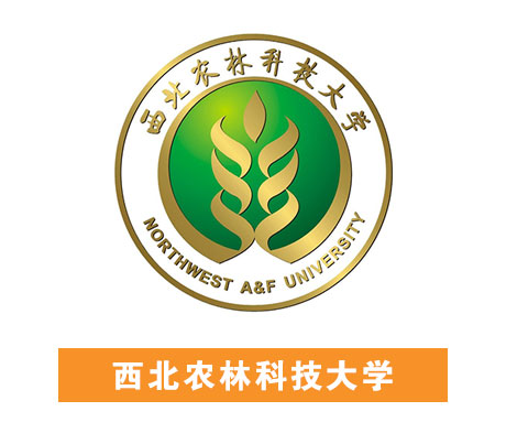 俄罗斯专享会294·VIP(中国区)官方网站
